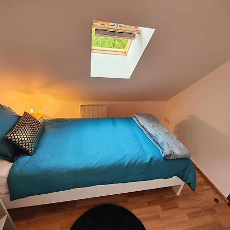 La Feline - Duplex - Vieux Valenciennes - Familial Διαμέρισμα Εξωτερικό φωτογραφία