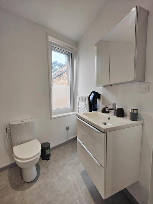 La Feline - Duplex - Vieux Valenciennes - Familial Διαμέρισμα Εξωτερικό φωτογραφία